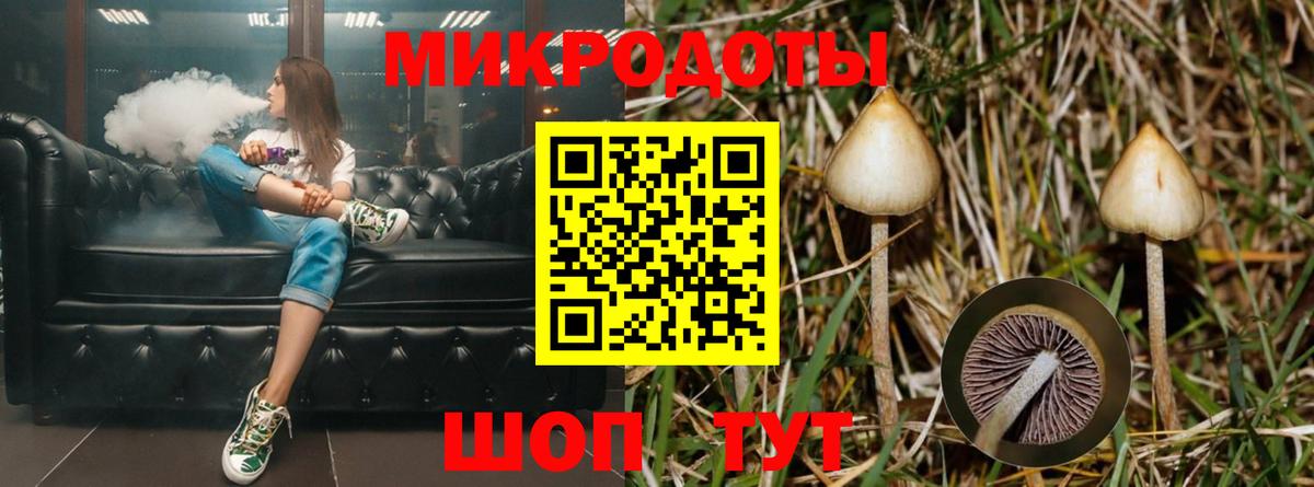 Псилоцибиновые грибы Psilocybe Ревда